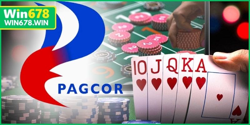 Xác định trách nhiệm và phạm vi giấy phép hoạt động